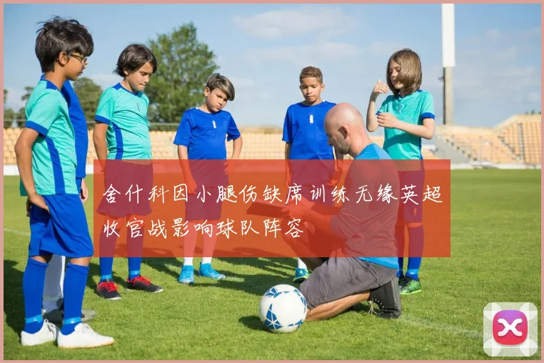 舍什科因小腿伤缺席训练无缘英超收官战影响球队阵容